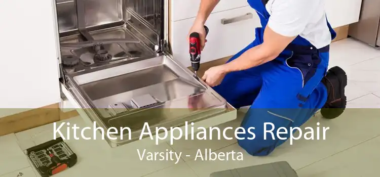 Kitchen Appliances Repair Varsity - Alberta