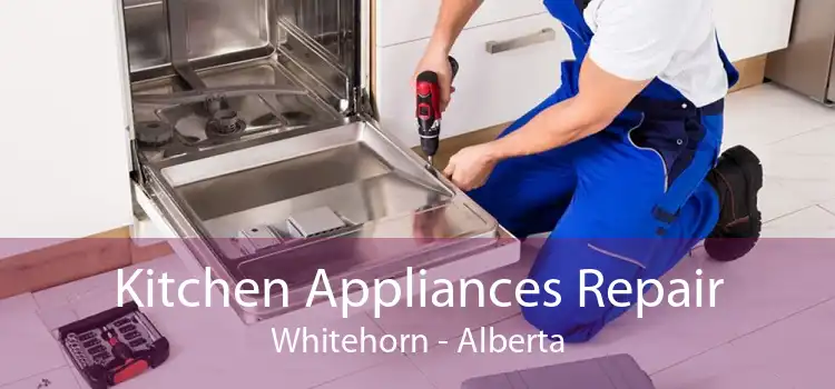 Kitchen Appliances Repair Whitehorn - Alberta