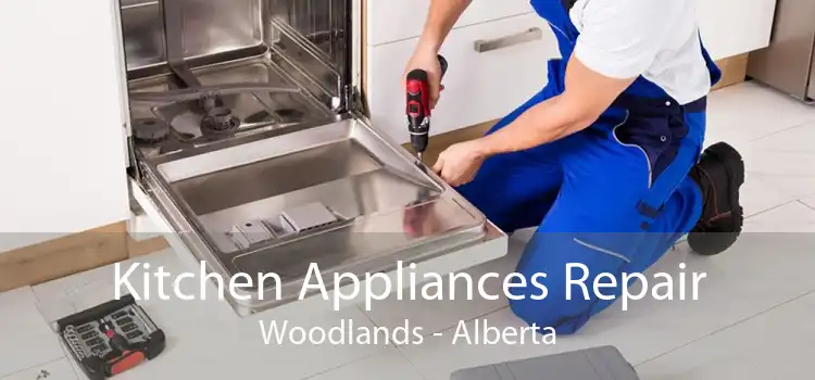 Kitchen Appliances Repair Woodlands - Alberta