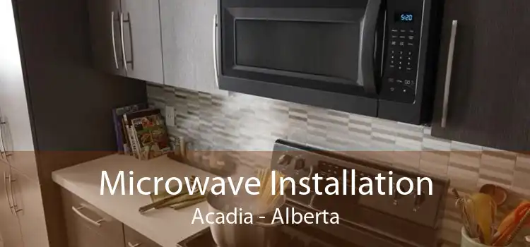 Microwave Installation Acadia - Alberta