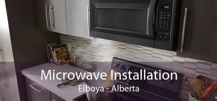 Microwave Installation Elboya - Alberta
