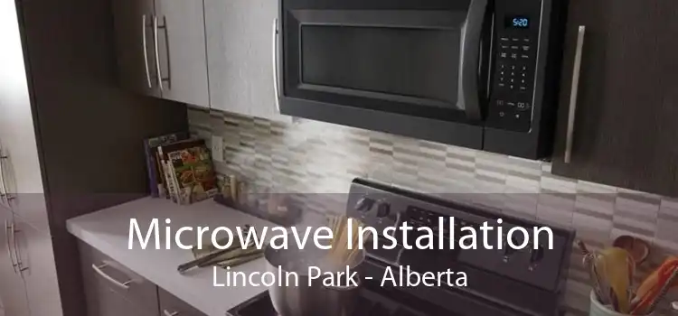 Microwave Installation Lincoln Park - Alberta