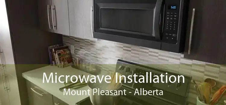 Microwave Installation Mount Pleasant - Alberta
