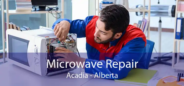 Microwave Repair Acadia - Alberta