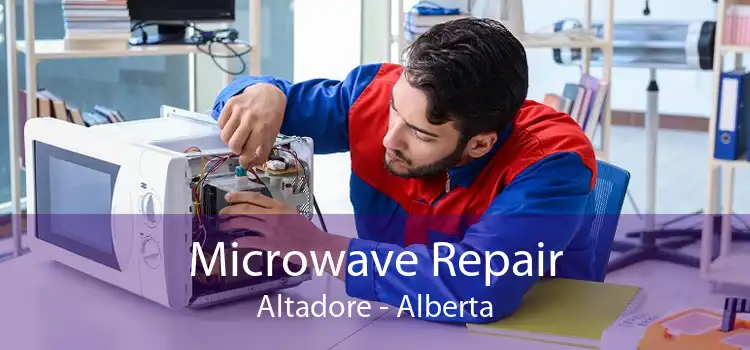 Microwave Repair Altadore - Alberta