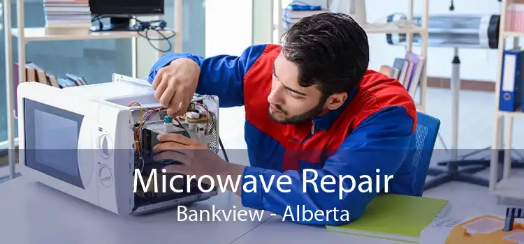 Microwave Repair Bankview - Alberta