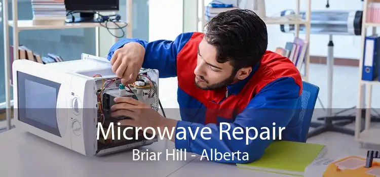 Microwave Repair Briar Hill - Alberta