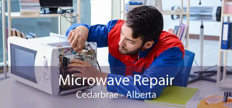 Microwave Repair Cedarbrae - Alberta
