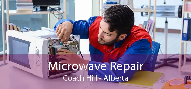 Microwave Repair Coach Hill - Alberta