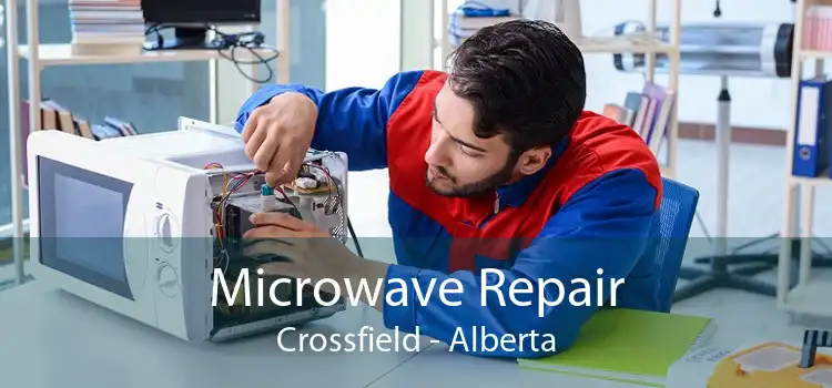 Microwave Repair Crossfield - Alberta