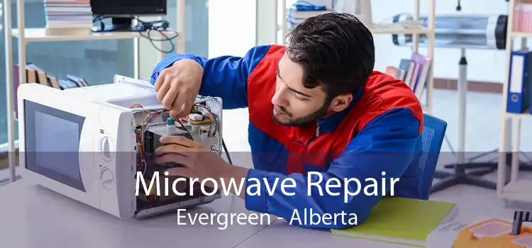 Microwave Repair Evergreen - Alberta