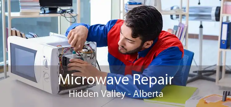 Microwave Repair Hidden Valley - Alberta