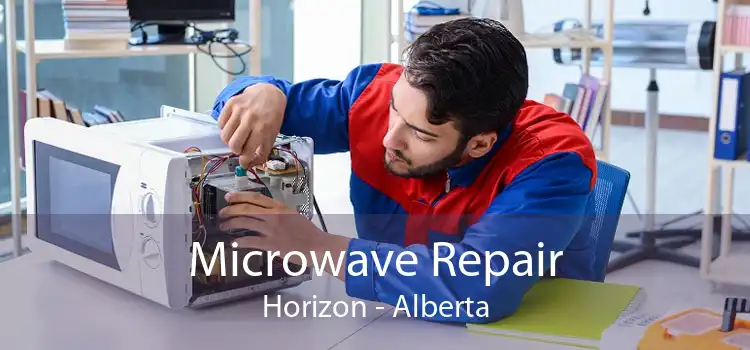 Microwave Repair Horizon - Alberta