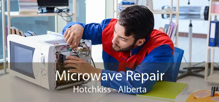 Microwave Repair Hotchkiss - Alberta