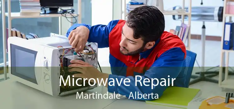 Microwave Repair Martindale - Alberta