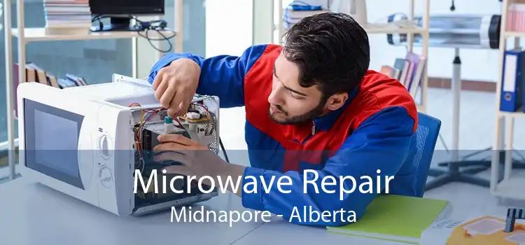 Microwave Repair Midnapore - Alberta