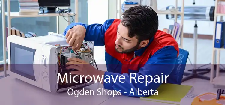 Microwave Repair Ogden Shops - Alberta