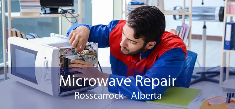 Microwave Repair Rosscarrock - Alberta