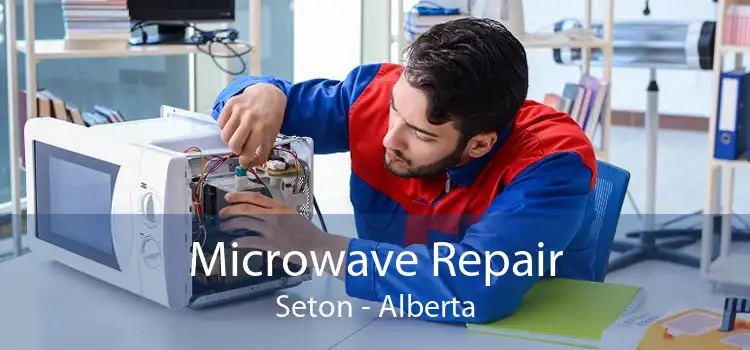 Microwave Repair Seton - Alberta