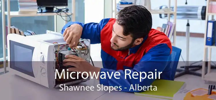 Microwave Repair Shawnee Slopes - Alberta
