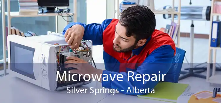 Microwave Repair Silver Springs - Alberta