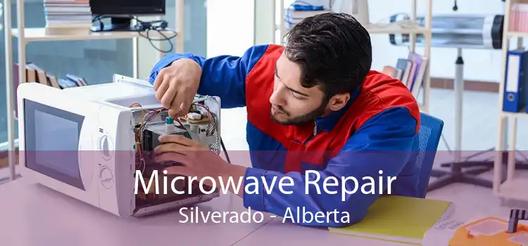 Microwave Repair Silverado - Alberta