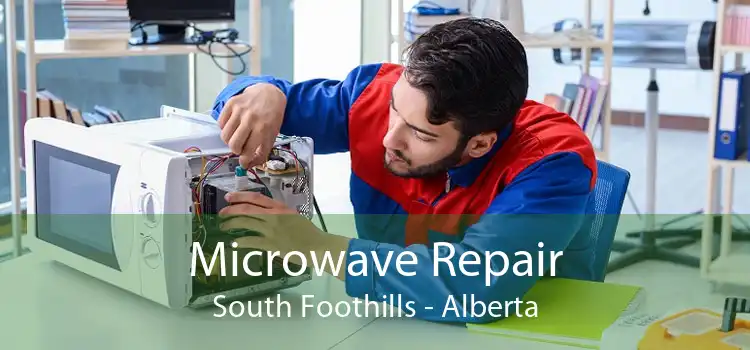 Microwave Repair South Foothills - Alberta