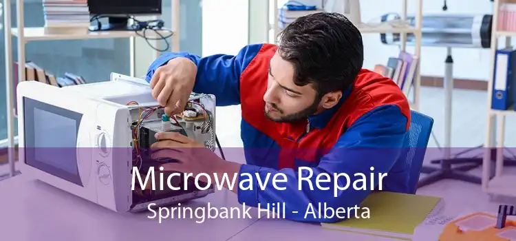 Microwave Repair Springbank Hill - Alberta