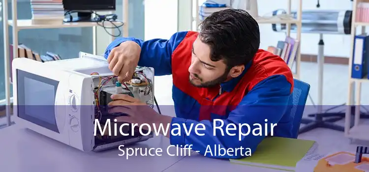Microwave Repair Spruce Cliff - Alberta