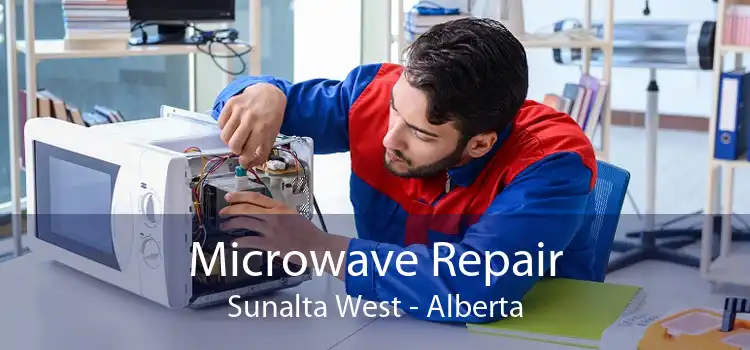 Microwave Repair Sunalta West - Alberta