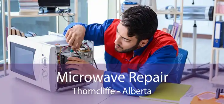 Microwave Repair Thorncliffe - Alberta