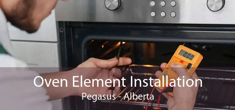 Oven Element Installation Pegasus - Alberta