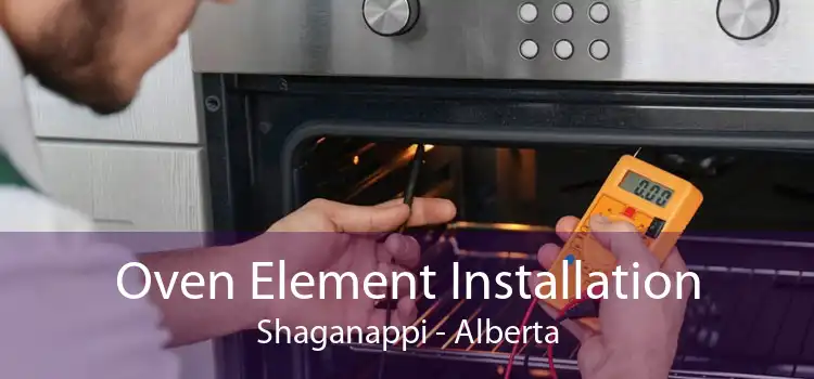 Oven Element Installation Shaganappi - Alberta
