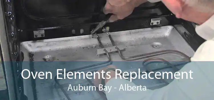 Oven Elements Replacement Auburn Bay - Alberta