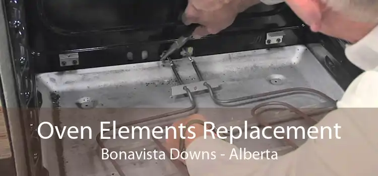 Oven Elements Replacement Bonavista Downs - Alberta