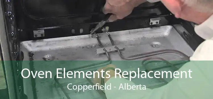 Oven Elements Replacement Copperfield - Alberta