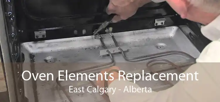 Oven Elements Replacement East Calgary - Alberta