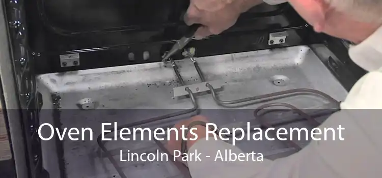 Oven Elements Replacement Lincoln Park - Alberta