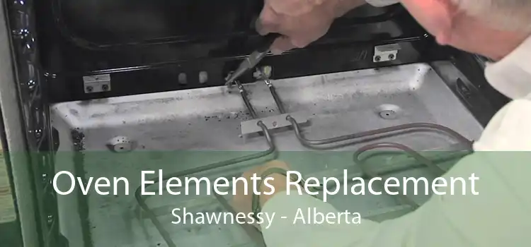 Oven Elements Replacement Shawnessy - Alberta