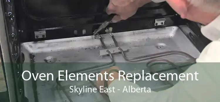 Oven Elements Replacement Skyline East - Alberta