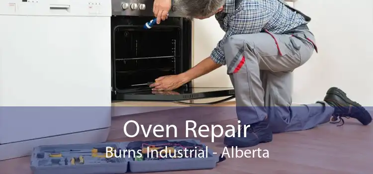 Oven Repair Burns Industrial - Alberta