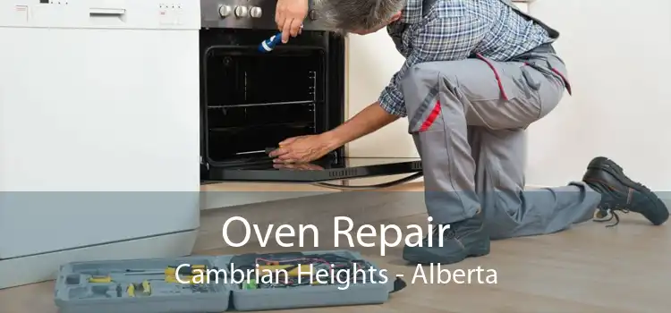 Oven Repair Cambrian Heights - Alberta