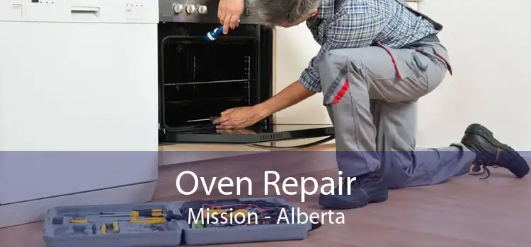 Oven Repair Mission - Alberta