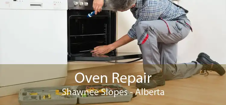 Oven Repair Shawnee Slopes - Alberta
