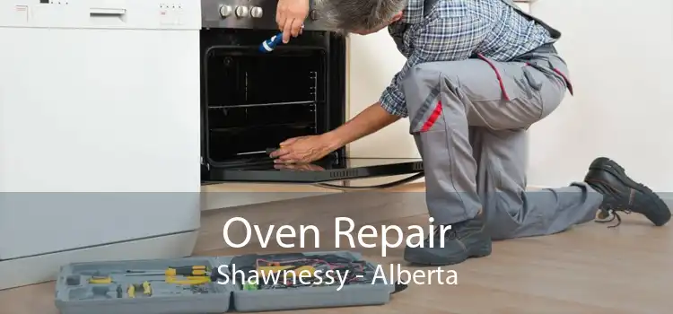 Oven Repair Shawnessy - Alberta