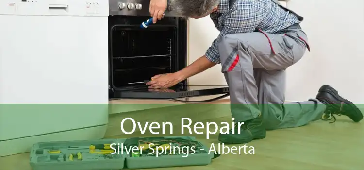 Oven Repair Silver Springs - Alberta