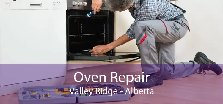 Oven Repair Valley Ridge - Alberta