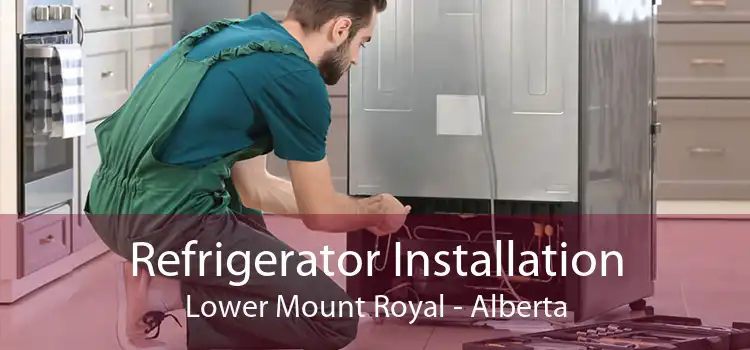Refrigerator Installation Lower Mount Royal - Alberta
