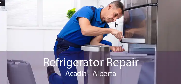 Refrigerator Repair Acadia - Alberta