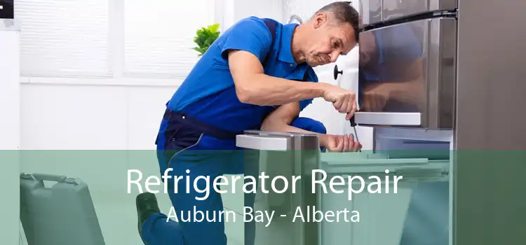 Refrigerator Repair Auburn Bay - Alberta